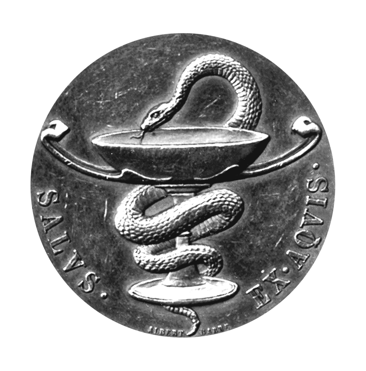 Face1-e1593005640964